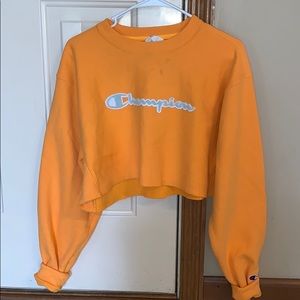 ••Cropped Champion Sweatshirt••